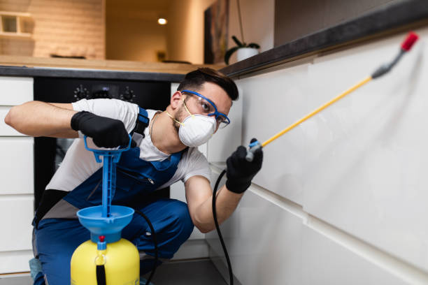 Best Mosquito Control Services  in Washington, NC
