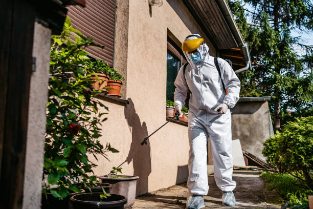 Best Flea Control Services  in Washington, NC