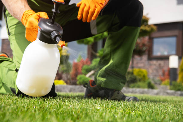 Best Pest Control for Homes  in Washington, NC