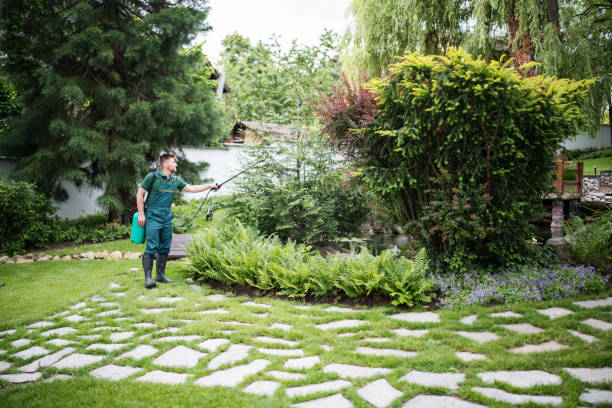 Best Ant Control Services  in Washington, NC