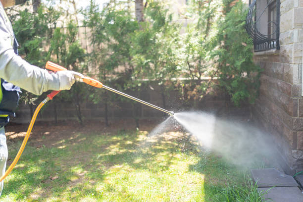 Best Cockroach Control Services  in Washington, NC