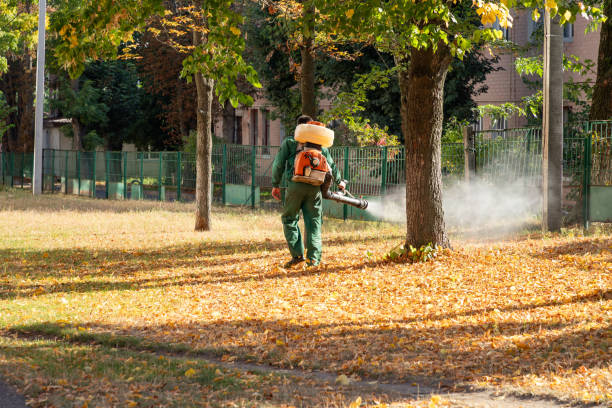 Best Pest Control for Businesses  in Washington, NC