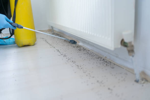 Best Wildlife Control Services  in Washington, NC
