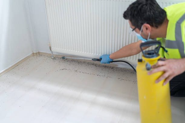 Pest Prevention Services in Washington, NC