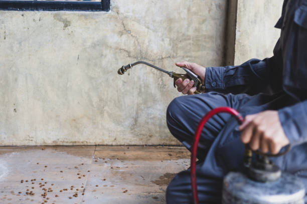 Best Pest Prevention Services  in Washington, NC