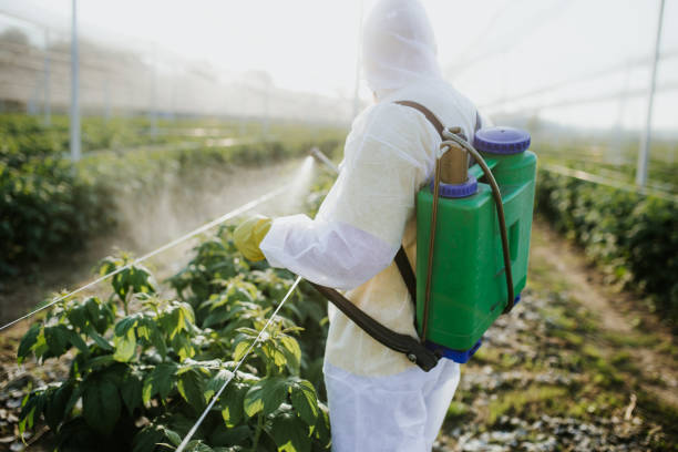 Pest Prevention Services in Washington, NC